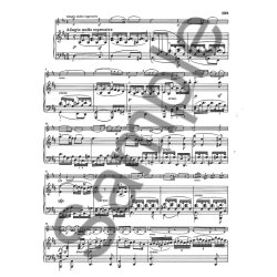 Ludwig Van Beethoven: Violin Sonatas - Volume 2 (Henle Urtext Edition)