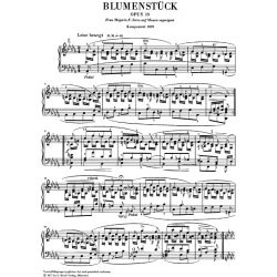 Robert Schumann: Flower Piece In D Flat Major Op. 19