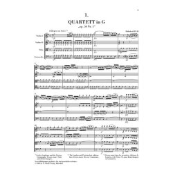 Joseph Haydn: The String Quartets - 12 Volumes In A Slipcase