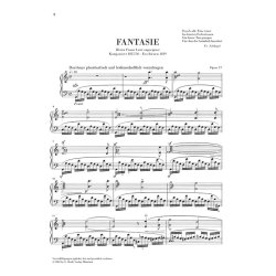 Robert Schumann: Complete Piano Works Volume 4 - Henle Urtext