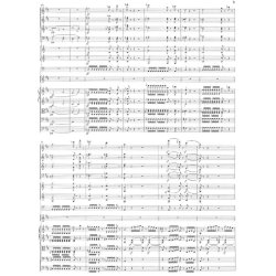 Ludwig Van Beethoven: Violin Concerto In D major Op. 61