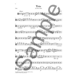 Ludwig Van Beethoven:  Trio In C Op.87 - Parts (Urtext Edition)