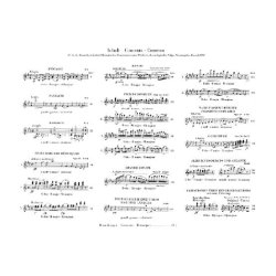 Franz Schubert: Werke Fur Klavier Zu Vier Handen - Band I