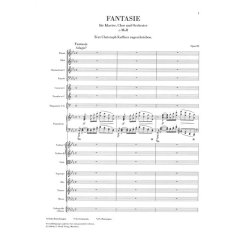 Ludwig van Beethoven: Chorus Fantasy In C Minor Op. 80 (Henle Urtext Score)