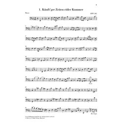 Georg Friedrich H&auml;ndel: Nine German Arias For Soprano, Solo Instrument And Basso Continuo