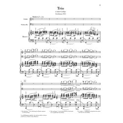 Maurice Ravel: Piano Trio