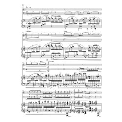 Maurice Ravel: Piano Trio