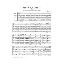 Beethoven: The String Quartets (Henle Urtext Edition) - Box Set