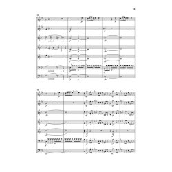 Wolfgang Amadeus Mozart: Serenade KV 388 Fur Blaseroktett