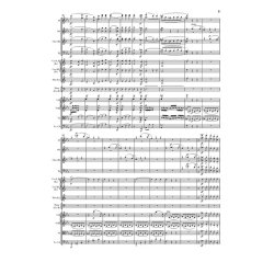 Ludwig Van Beethoven: Symphony No. 3 E Flat Op. 55 (Sinfonia Eroica)