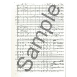 Ludwig Van Beethoven: Symphony No. 3 E Flat Op. 55 (Sinfonia Eroica)