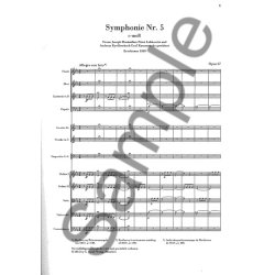 Ludwig Van Beethoven: Symphony No. 5 In C Minor Op.67