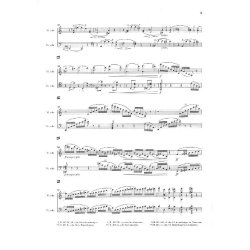 Johannes Brahms: Doppelkonzert A-Moll Op. 102