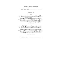 Johannes Brahms: Clarinet Sonatas Op. 120 (Clarinet in B Flat)