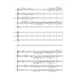 Johannes Brahms: The Symphonies - 4 Volume Slipcase