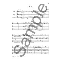 Ludwig Van Beethoven: Trio In C Op.87/Variations In C WoO 28 - Wind Study Score