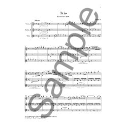 Ludwig Van Beethoven: Trio In C Op.87 - Study Score (Strings)