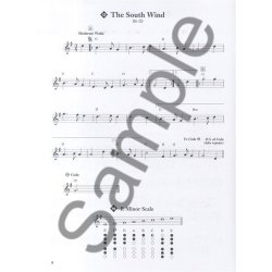 Cathal McConnell Teaches Irish Pennywhistle