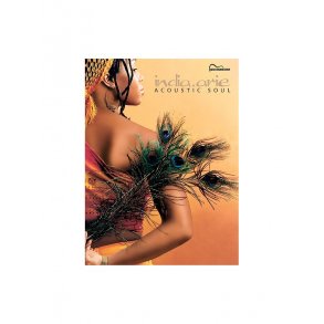 India Arie: Acoustic Soul