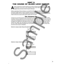 Blues Guitar: Rural, Urban And Mordern Styles