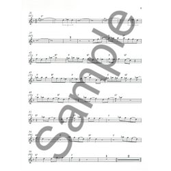 Take The Lead: Blues Brothers (Violin)