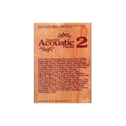Essential Acoustic Playlist 2