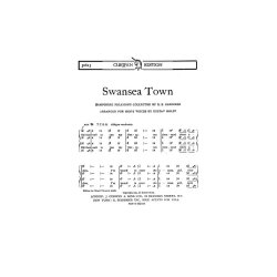 Holst Swansea Town Ttbb Tonic