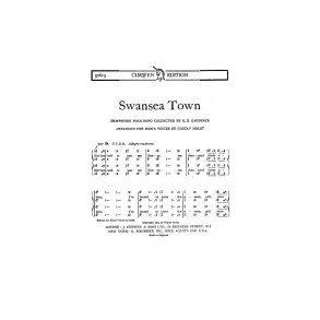 Holst Swansea Town Ttbb Tonic