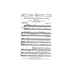 Michael Arne: Care Flies From The Lad That Is Merry