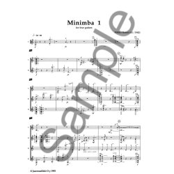 Mikko Heini: Minimba I