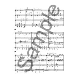 Mikko Heini: Minimba I