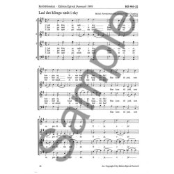 LAD DET KLINGE HJT I SKY