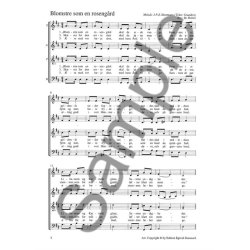 HOLTEN BO DANSKE JULESALMER OG -SANGE