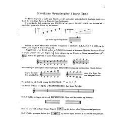 HULSTRM UKULELE SKOLE