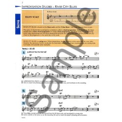 Standard Of Excellence: Advanced Jazz Ensemble Method (Flute)