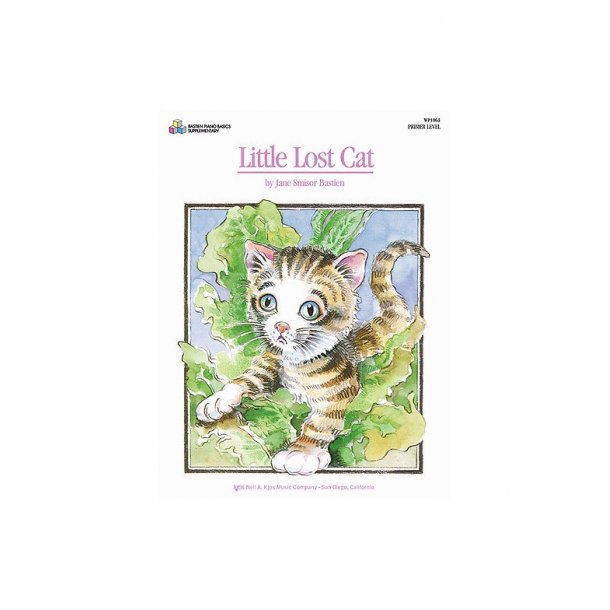 Little Lost Cat