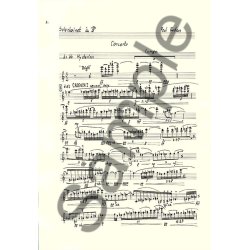 Poul Ruders: Concerto For Clarinet And Twin Orchestra (Clarinet Part)