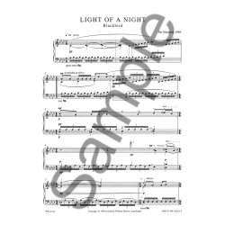 Per Nrgrd: Light Of A Night