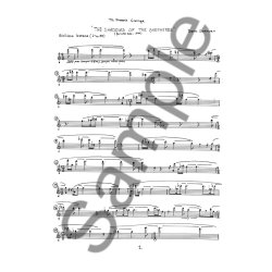 Bent Srensen: The Shadows Of The Shepherds