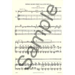 Jouni Kaipainen: Piping Down The Valleys Wild