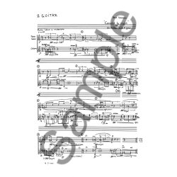 Bent Srensen: Camelot By Night