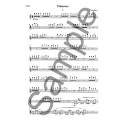 Ole Buck: Primavera (1984) Parts