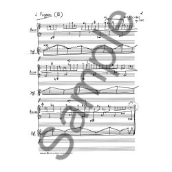 Duarder Op. 259, Kopi