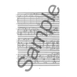 Ib Nrholm: Haven Med Stier Der Deler Sig (Score)