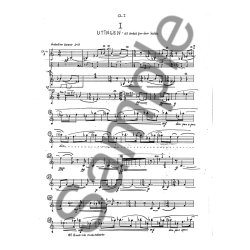 Cyprianus Stemmesaet, Kopi