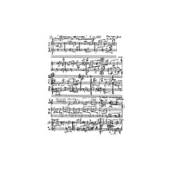 Per Nrgrd: Echo-Zone I-III