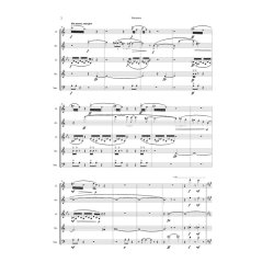 Niels Rosing-Schow: Miniature (Score)