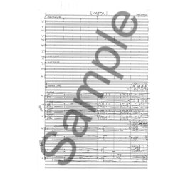 Bent Srensen: Symphony (Score)