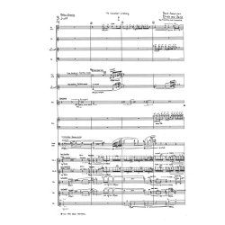 Bent Srensen: Birds And Bells (Score)