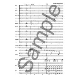 Det Store Orkester Part., Kopi